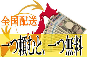 成立認可状・山下