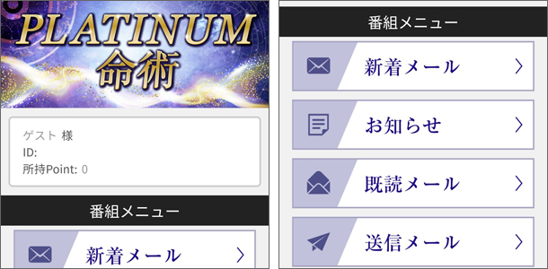 PLATINUM命術を実際に利用してみた体験談レビュー