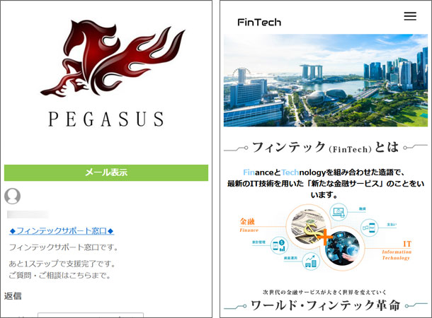 PEGASUS（ペガサス）FINTEH