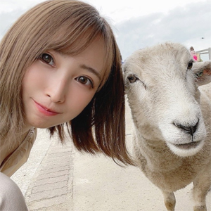珠梨は動物園で羊と一緒に写真