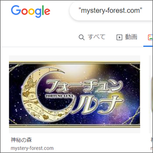 mystery-forest.com のグーグル検索結果