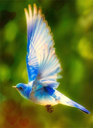 ナオミ（霊視鑑定）