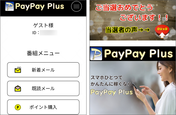 PayPayPlus
