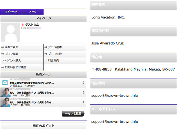ニセ医者が登場するメールレディー副業詐欺サイト