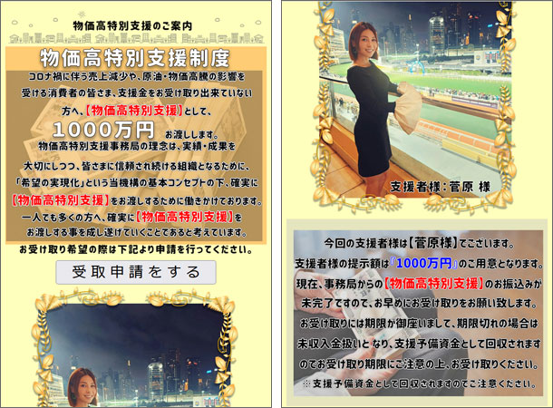 物価高特別支援のご案内（支援者の菅原）