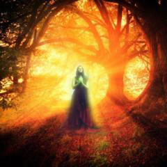 モニカ・ハーシェル