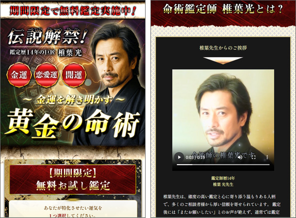 椎葉光の黄金の命術（しいばひかる）