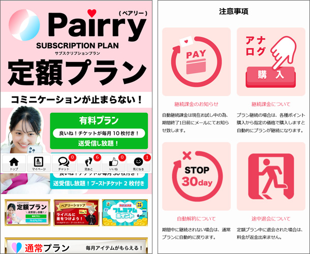 Pairry 料金体系