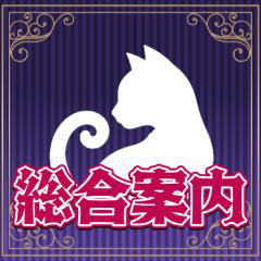 ノエミ公式 総合案内