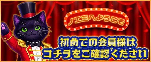 ノエミ初めての会員様用ページ