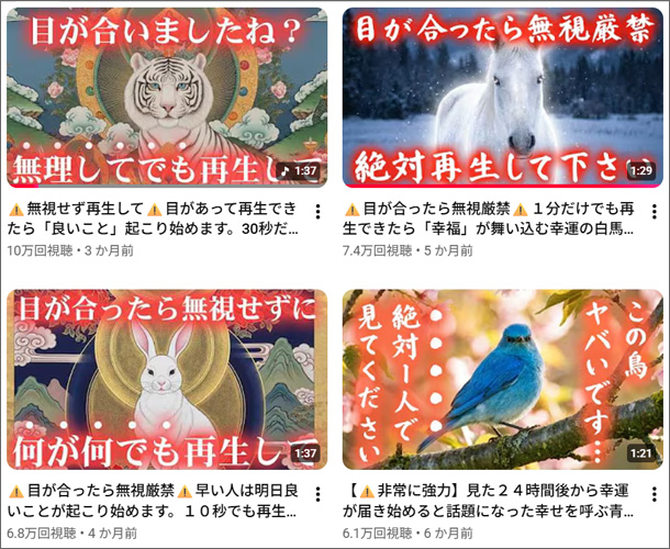 白蛇弁財天 金運祈願